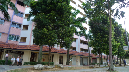 Blk 109 BUKIT PURMEI VILLE (Bukit Merah), HDB 3 Rooms #256982